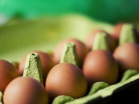 Oeufs contaminés Oeufs contaminés