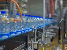 Phoenic Bev Phoenic Bev